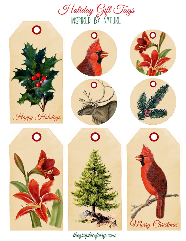 Images For Graphics Fairy Christmas Printables