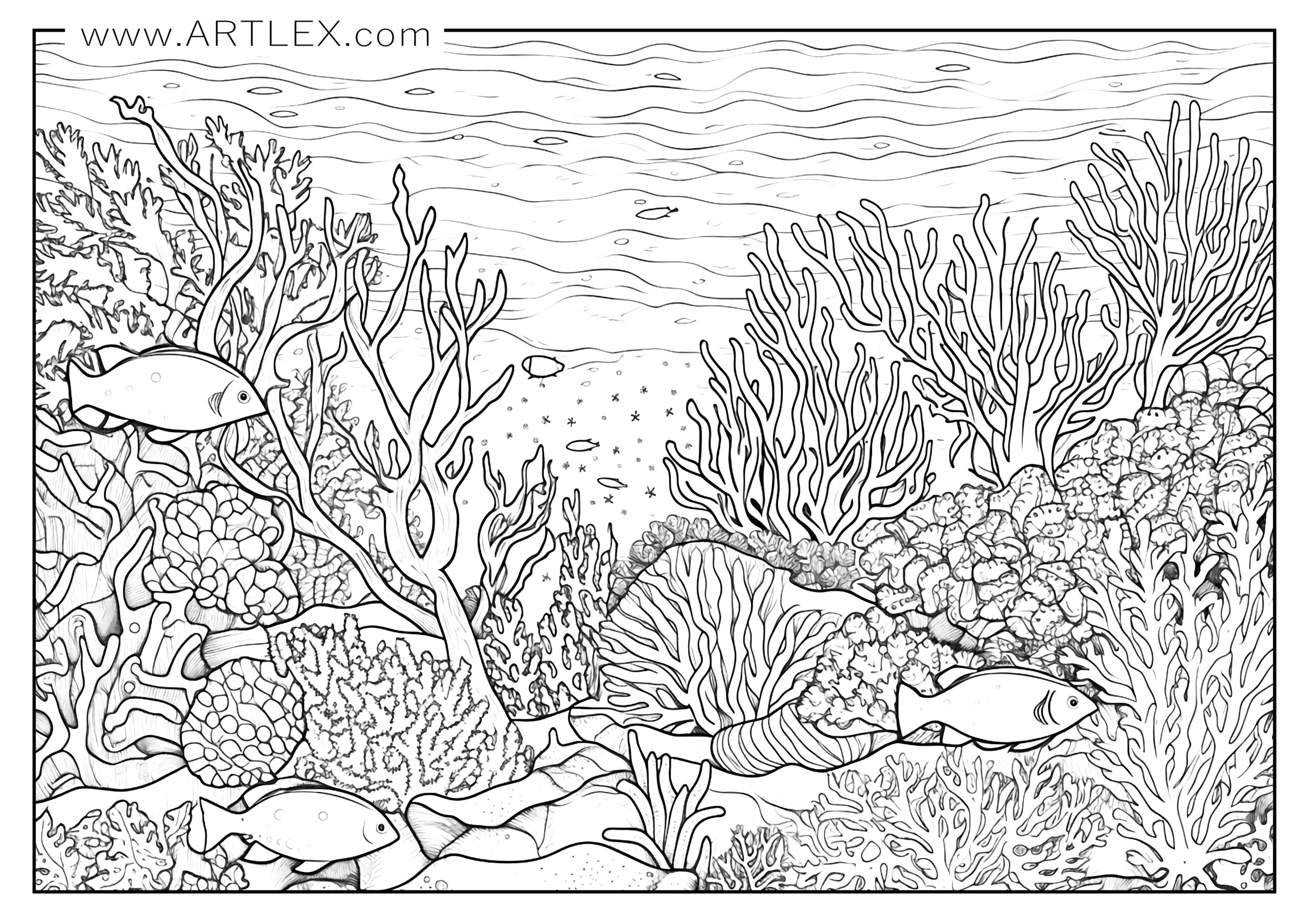 Free Printable Ocean Coloring Pages For Adults