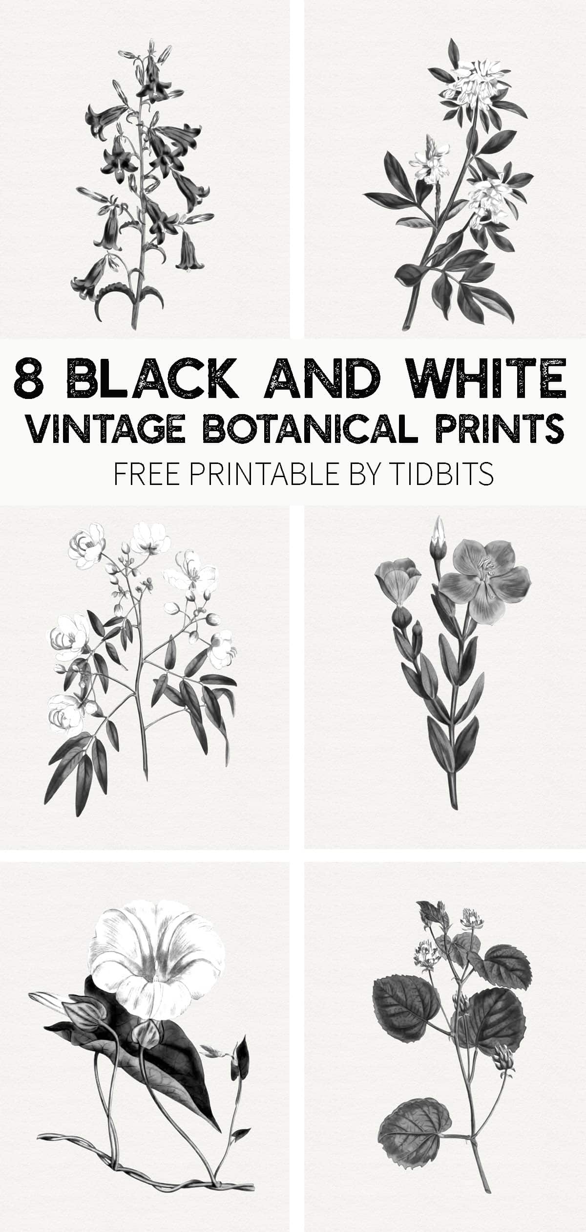 Free Stamped Printable Botanical Images