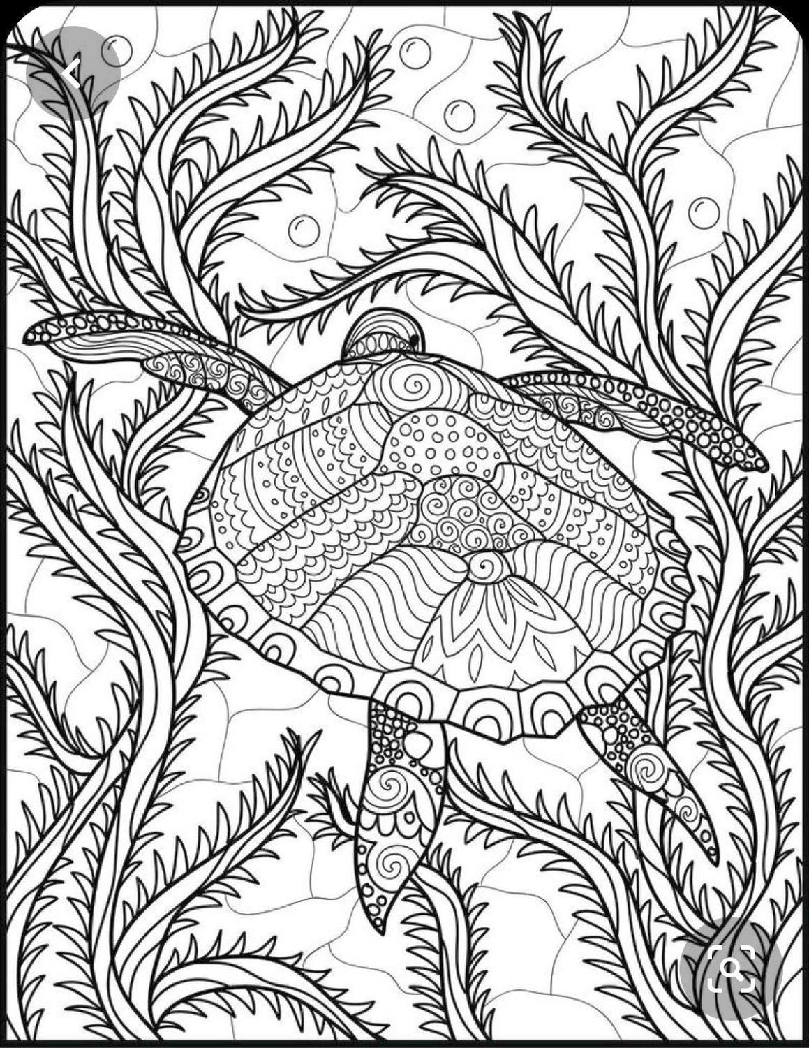 20 Free Printable Adult Coloring Pages Ocean EverFreeColoring