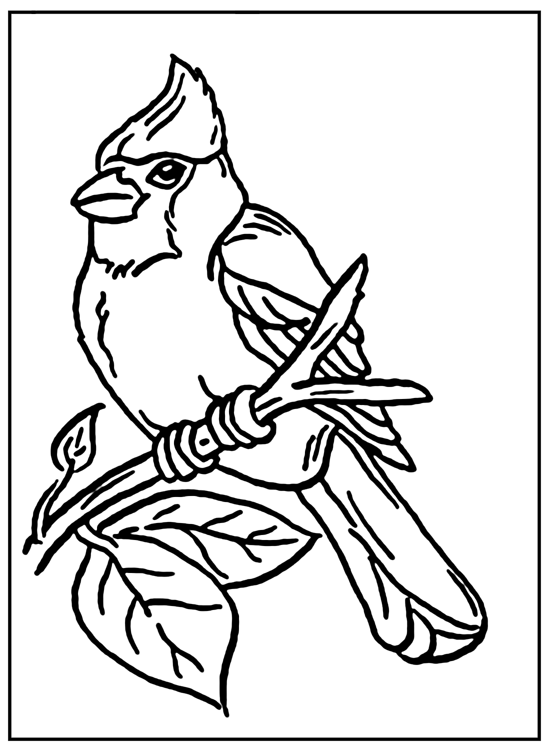 31 Cardinal Coloring Pages Free Printable For Kids And Adults