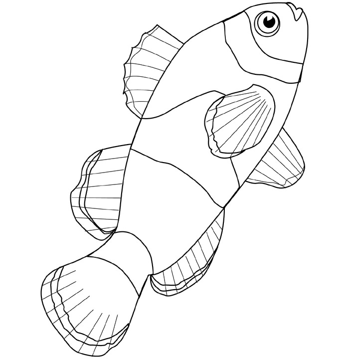 65 Sea Creature Templates Printable Crafts Colouring Pages Free 