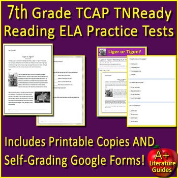 Free Printable Tnready Practice Test