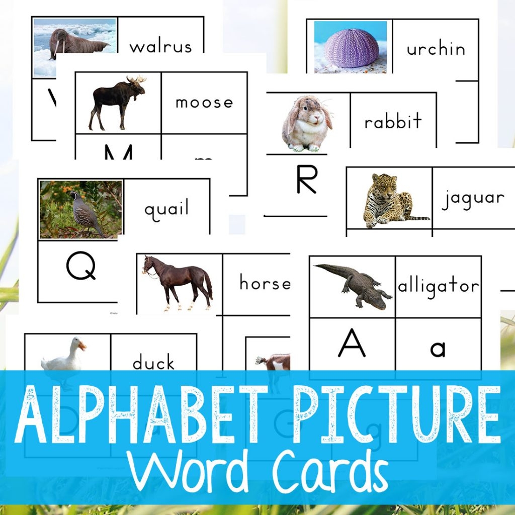 Alphabet Printable Picture Cards Visual Word Cards Natural Beach Living