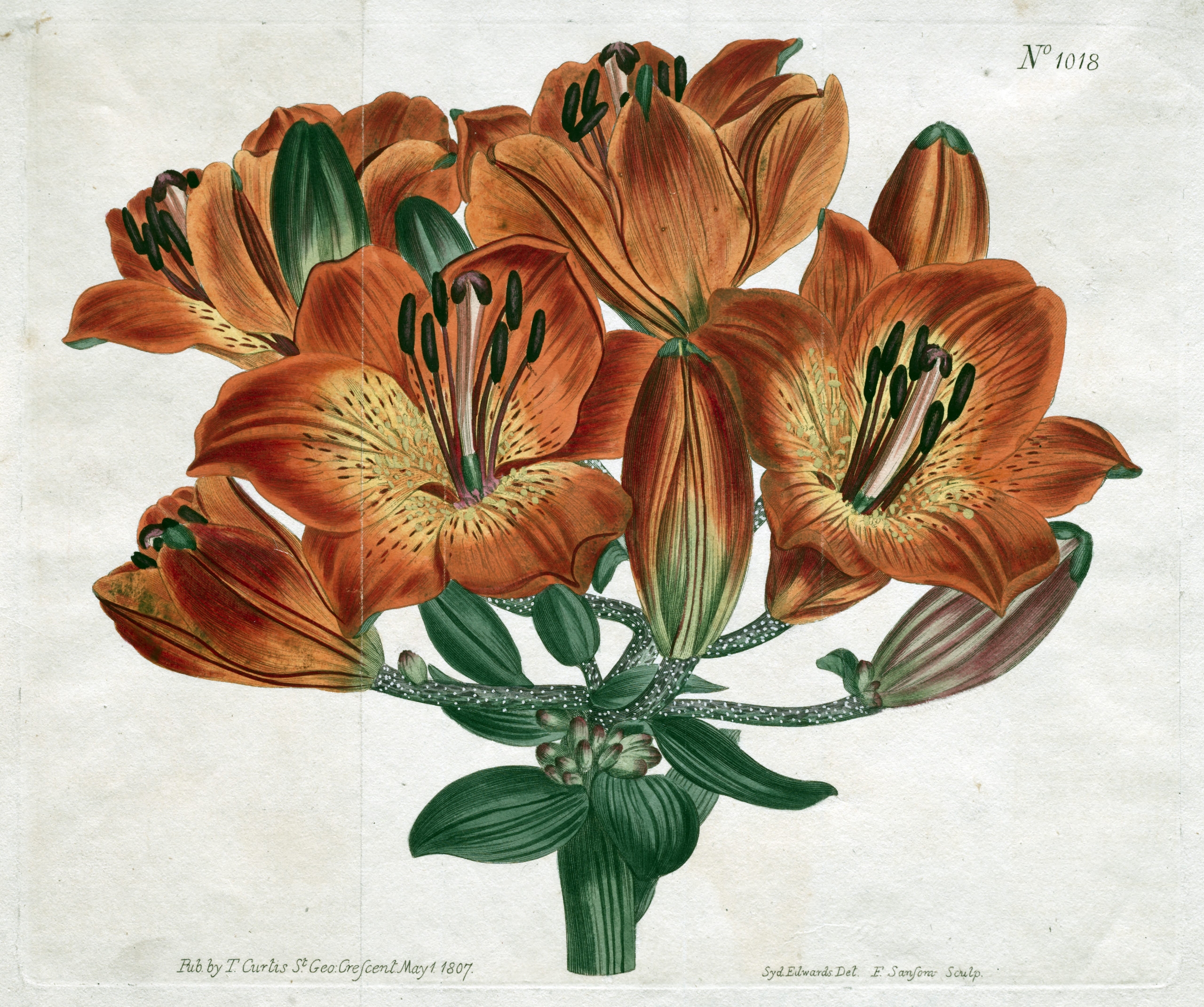 Botanical Garden Vintage Printable Prints