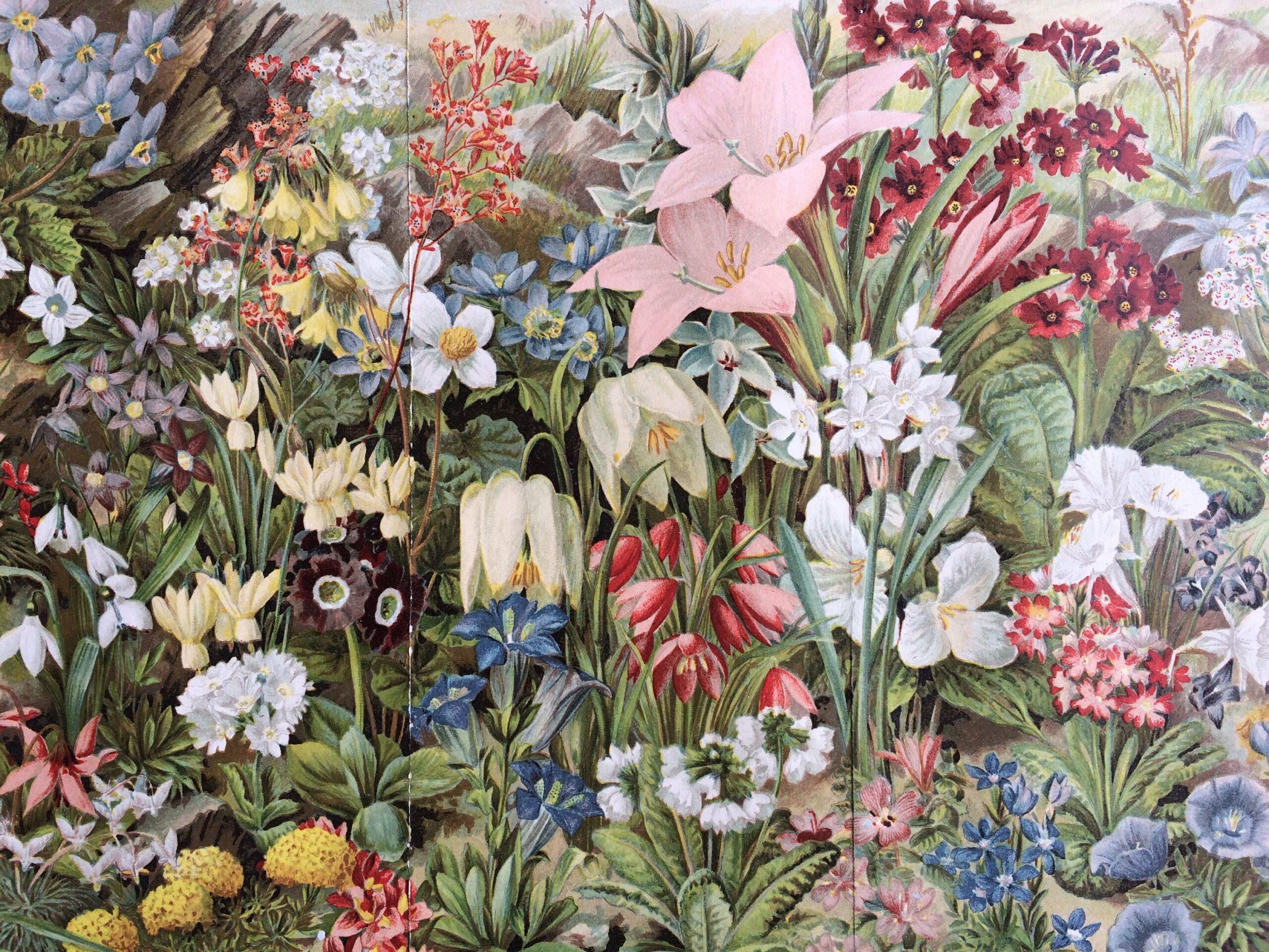 Botanical Garden Vintage Printable Prints