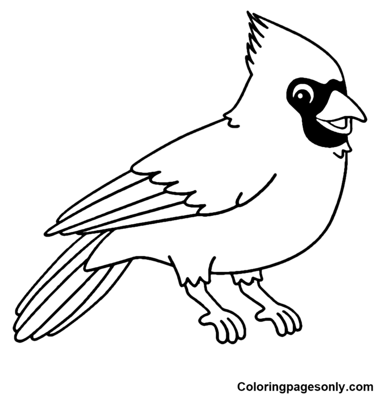 Free Printable Pictures Of Cardinals