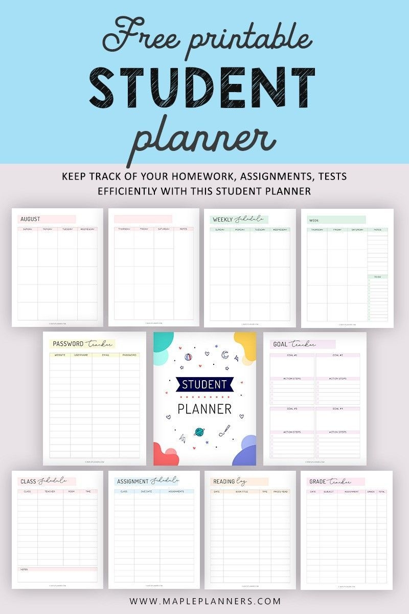 College Planner 2025 Laura T Clowes