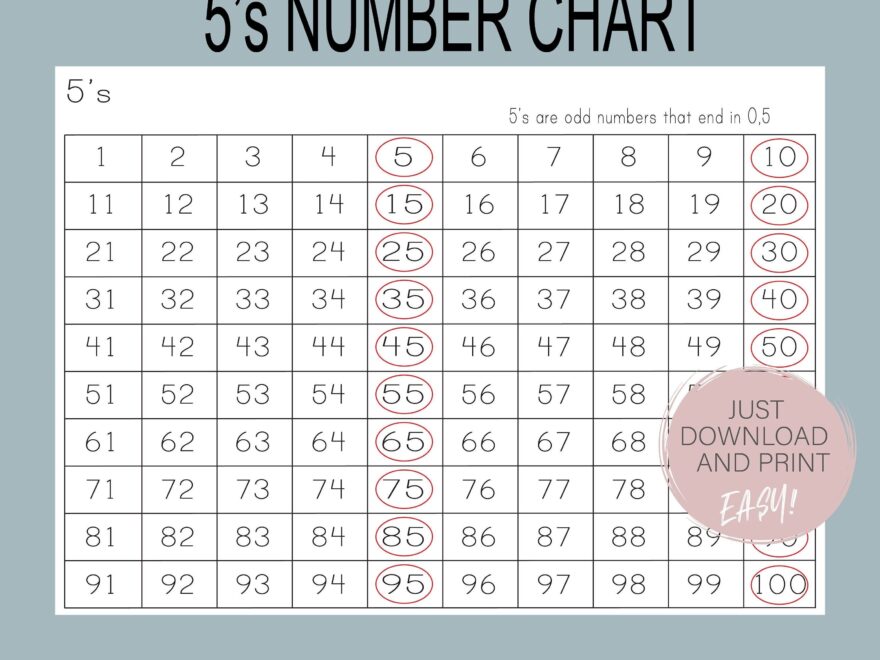 Counting By Five 39 s Learning To Count Learning Numbers Count By 5 39 s