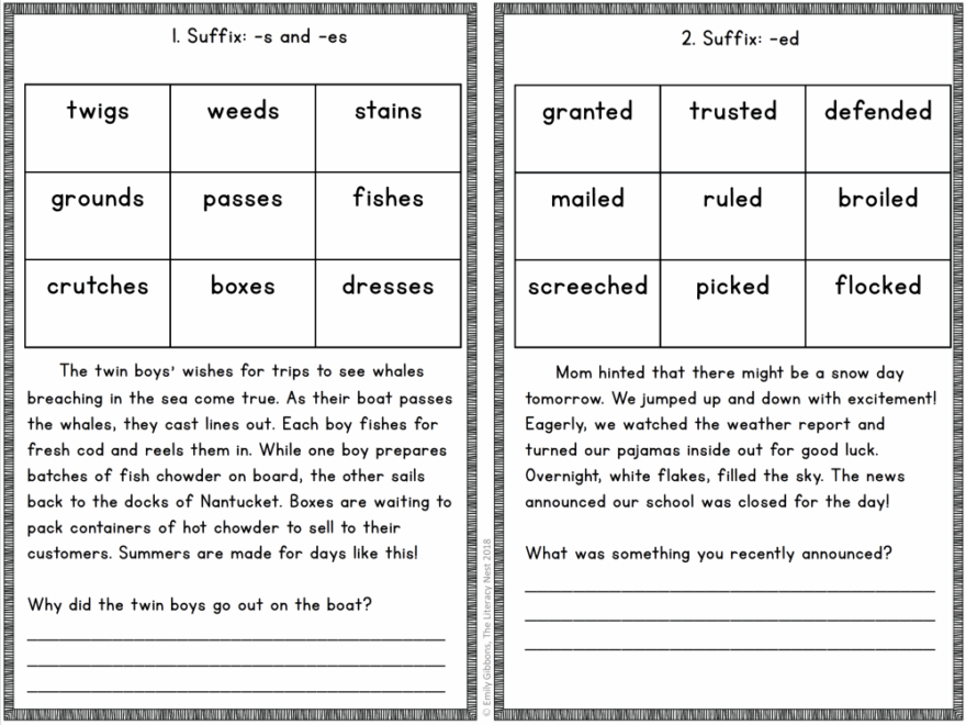 Decodable Passages For Prefixes And Suffixes FREEBIE The Literacy Nest