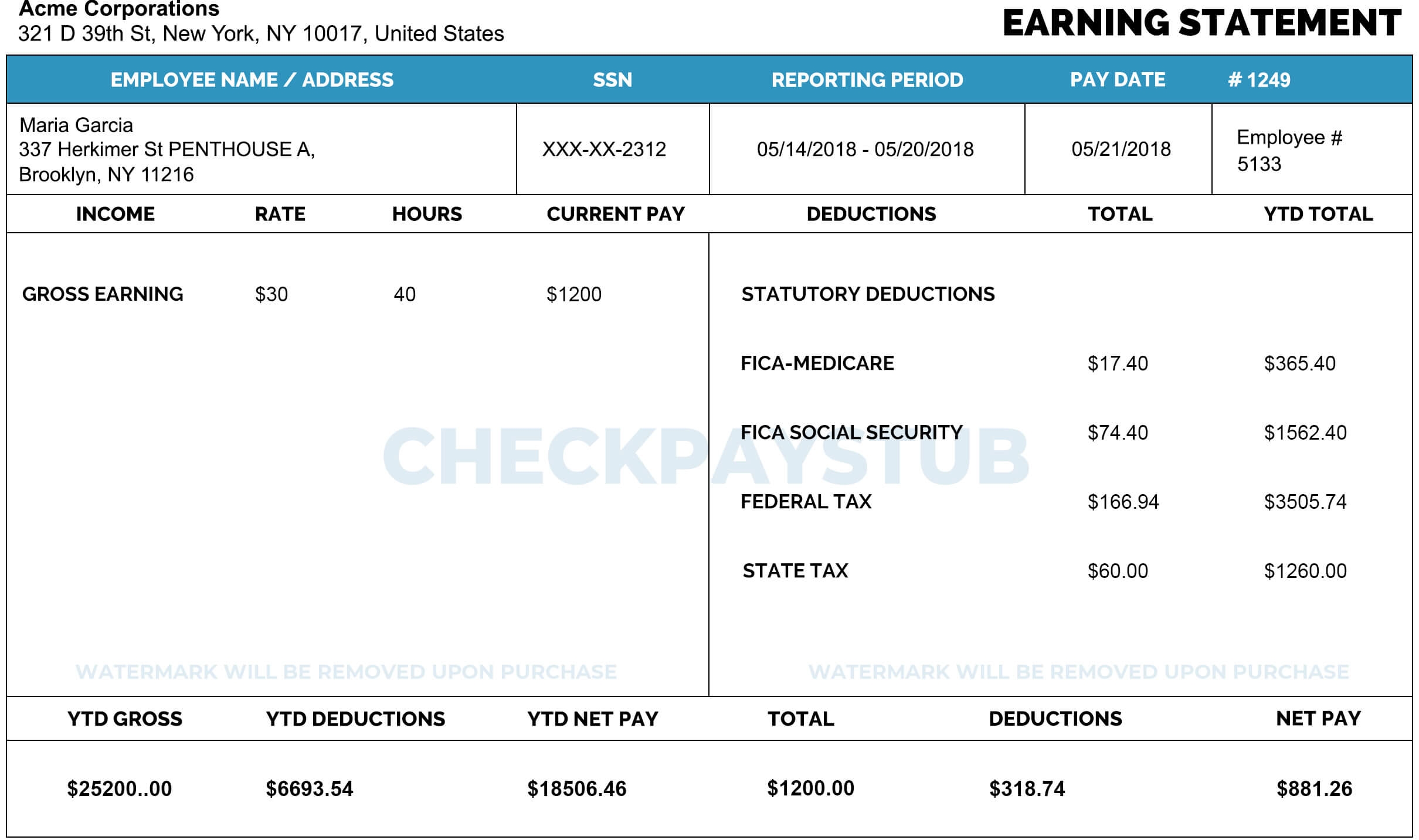 Download Free Pay Stub Template With No Watermark Download Pay Stub 