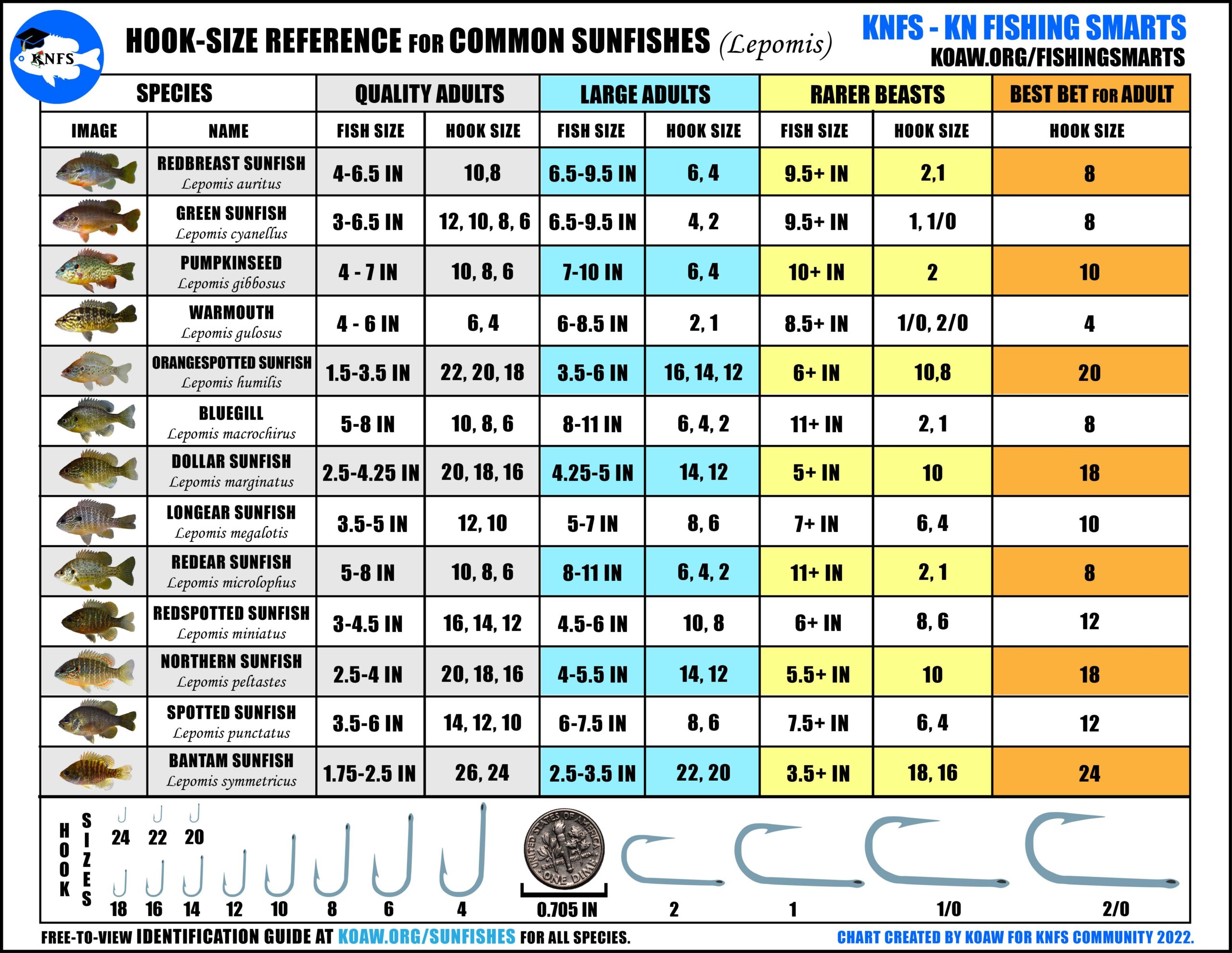 Fishing Hook Size Chart In Mm Fly Hook Size Comparison Chart