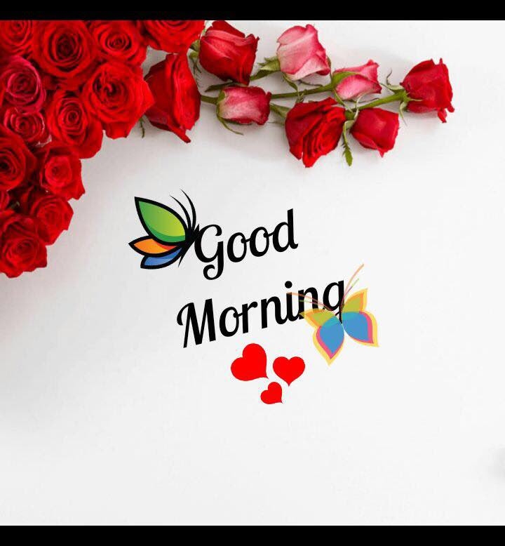 Free Good Morning Images Good Morning Beautiful Photos Greetings1