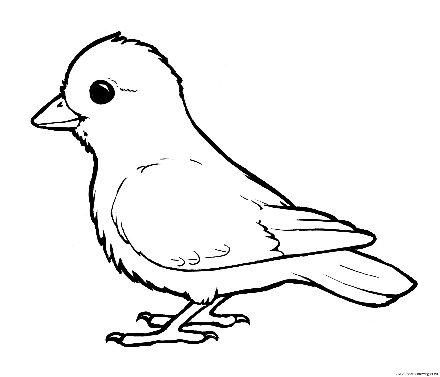 Free Printable Bird Coloring Pages At Vanclayblog Blog