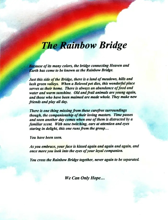 Free Printable Copy Of The Rainbow Bridge Poem Printable Word Searches