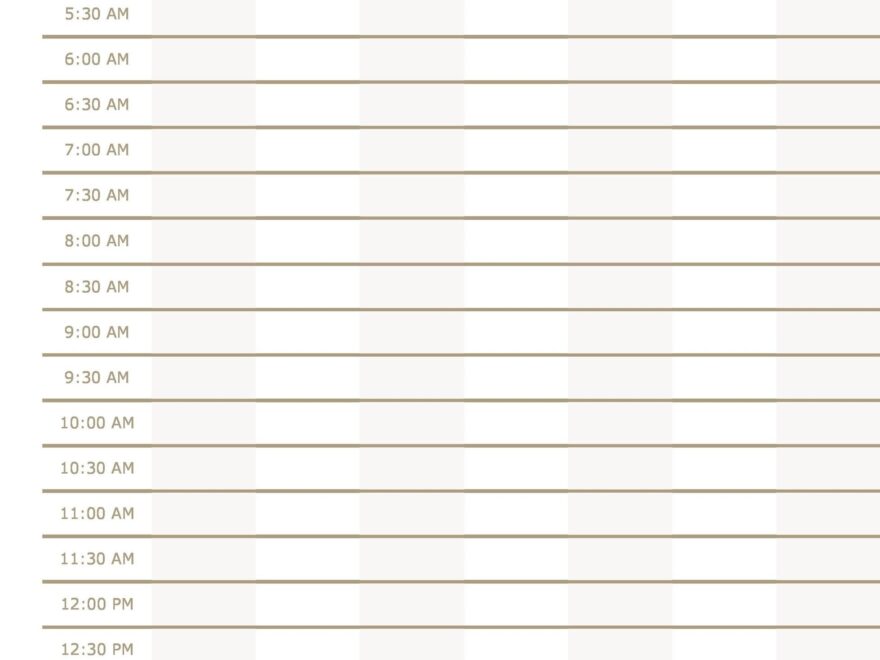Free Printable Daily Schedule Template Printable Forms Free Online