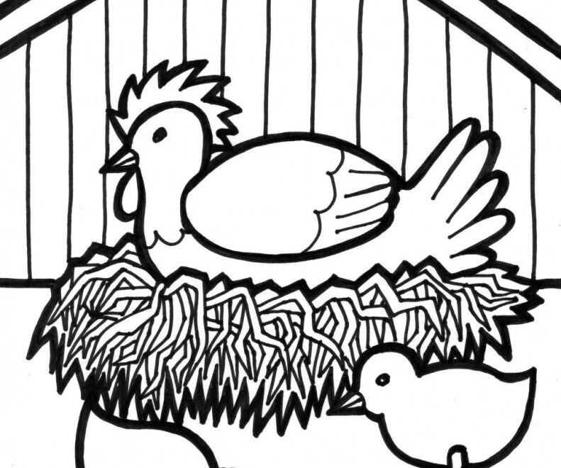 Free Printable Farm Animal Coloring Pages For Kids