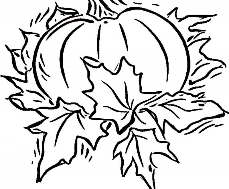 Free Printable Pumpkin Coloring Pages For Kids