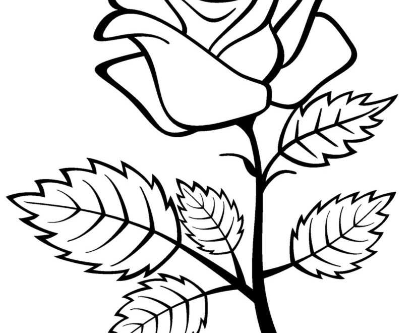 Free Printable Roses Coloring Pages For Kids