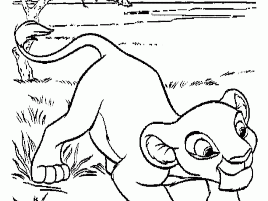 Free Printable Simba Coloring Pages For Kids