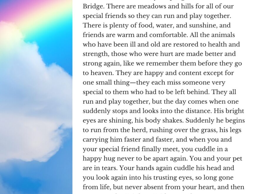 Free Printable Version Of The Rainbow Bridge Poem Download Free