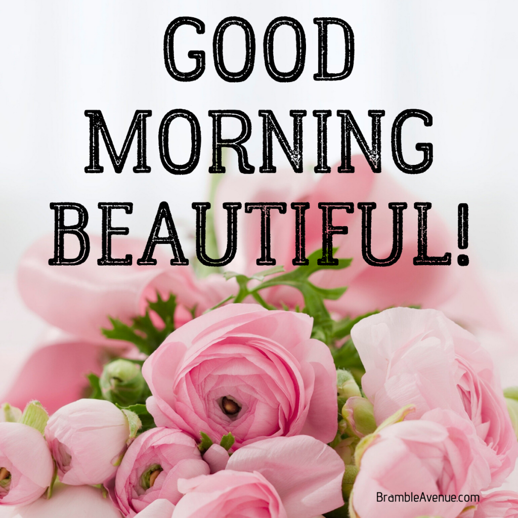 Good Morning Beautiful And Images Bramble Avenue
