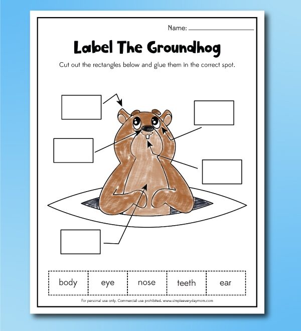 Groundhog Day Worksheets For Kids Free Printable