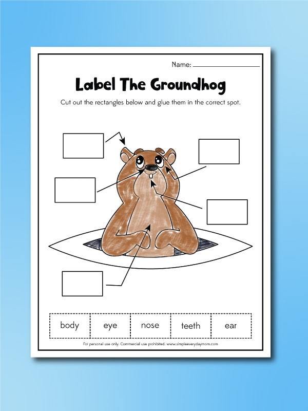 Groundhog Day Worksheets For Kids Free Printable 
