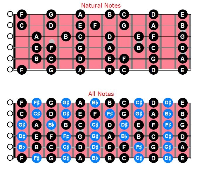 Guitar Fretboard Notes Printable