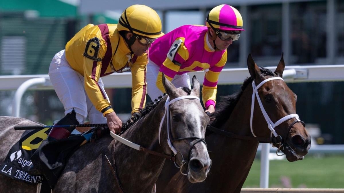 Kentucky Derby 2025 Horses Odds L Matthew Williams