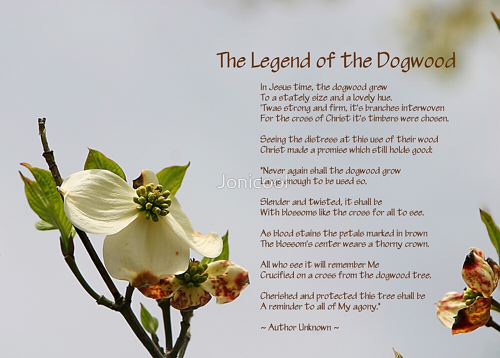 Legend Of The Dogwood Tree Poem Printable