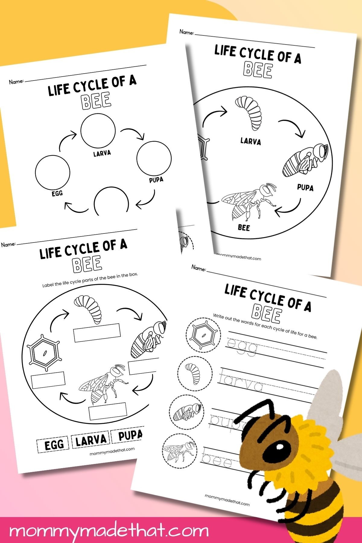 Life Cycle Of A Bee Worksheets Free Printables Worksheets Library