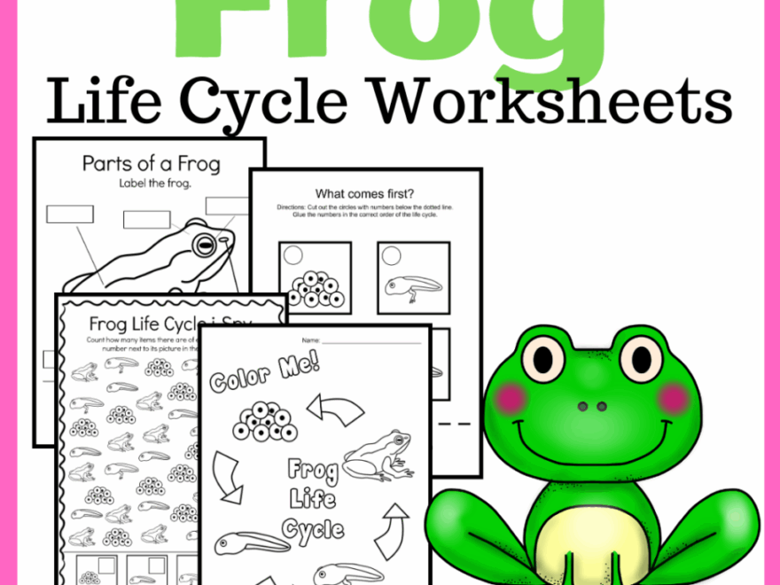 Life Cycle Of A Frog Printable
