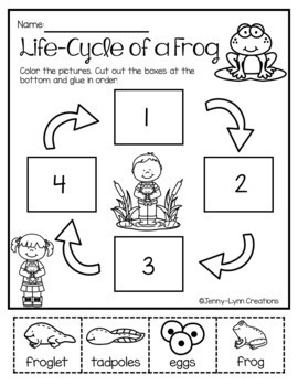 Free Printable Frog Worksheets For Preschool
