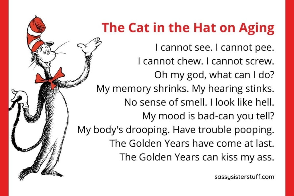 Life Lessons From Dr Seuss And Cat In The Hat Poems B t Ch Xanh