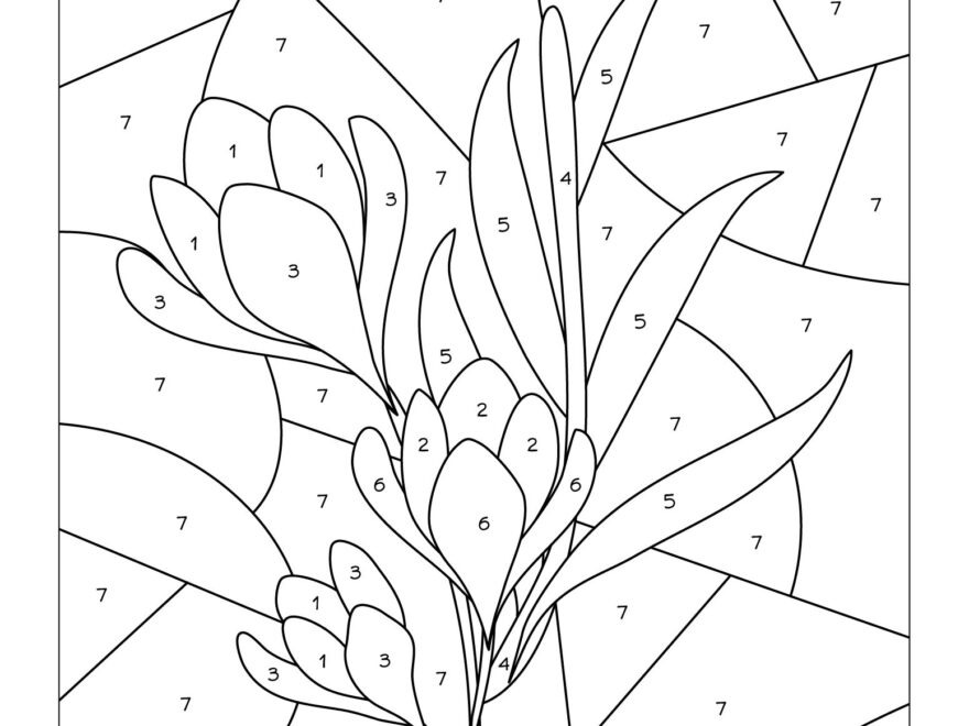 Paint By Number Templates 20 Free PDF Printables Printablee