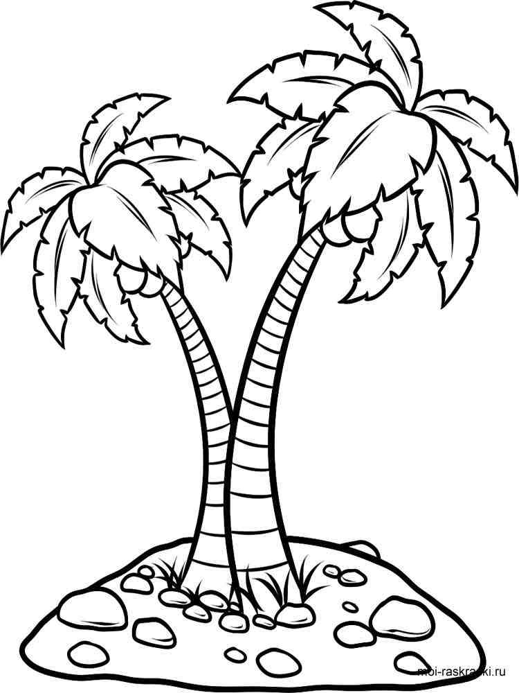 Palm Coloring Pages