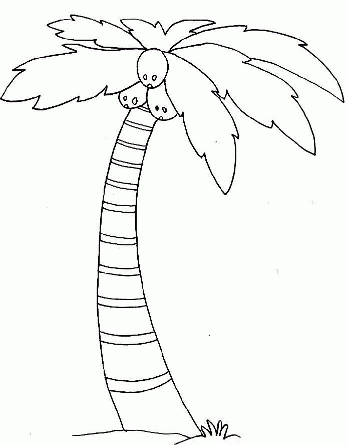Palm Tree Coloring Pages For Kids Coloring Home