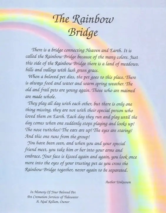 Poem Rainbow Bridge Printable Printable Word Searches