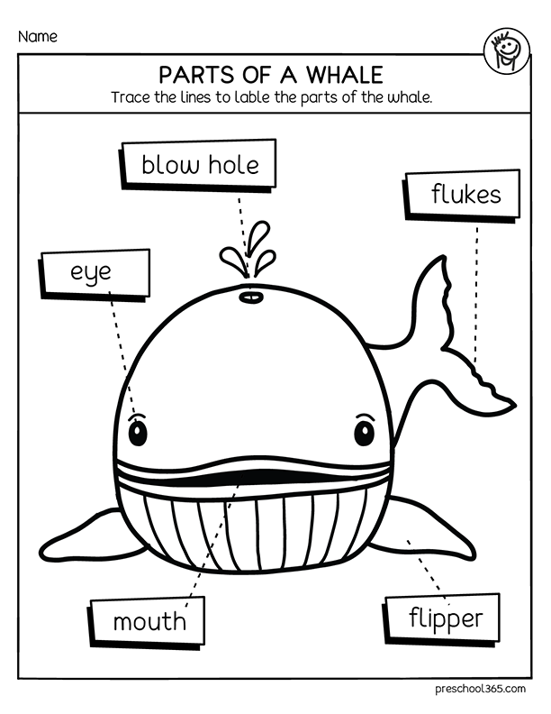 Free Printable Preschool Worksheets Whale Theme