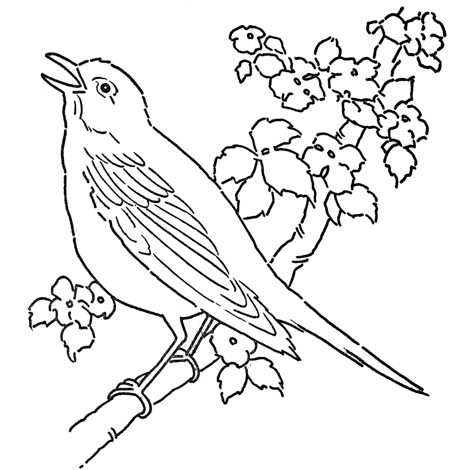 Printable Bird Coloring Pages