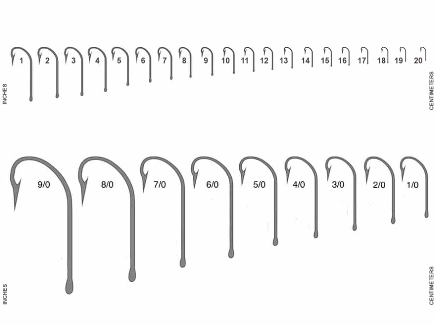 Printable Fly Hook Size Chart True Scale Free Printable Charts