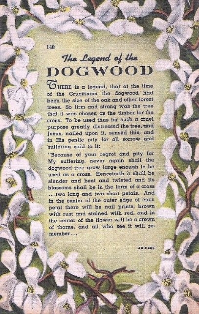 Printable Legend Of The Dogwood Tree Prntbl concejomunicipaldechinu 