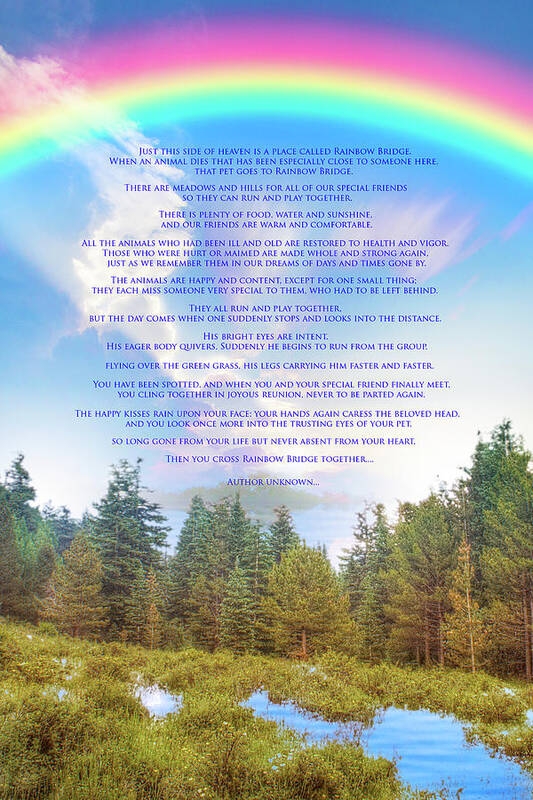 Rainbow Bridge Poem Printable Free