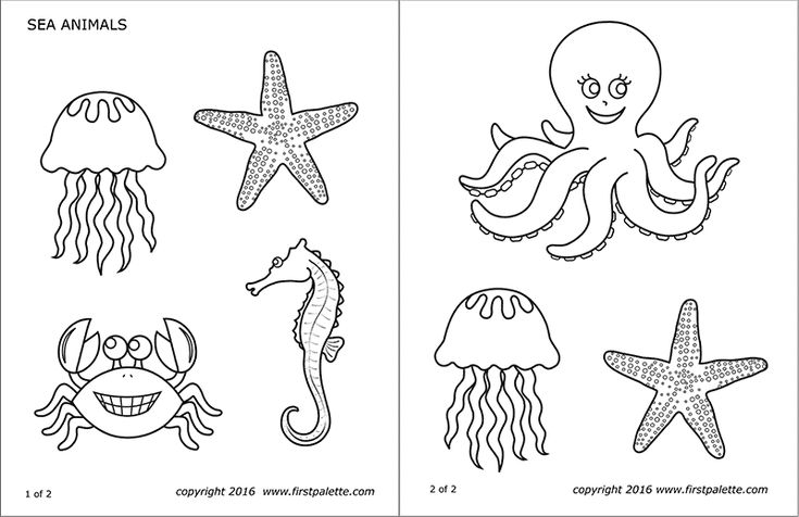 Sea Animals Free Printable Templates Coloring Pages Under The Sea 