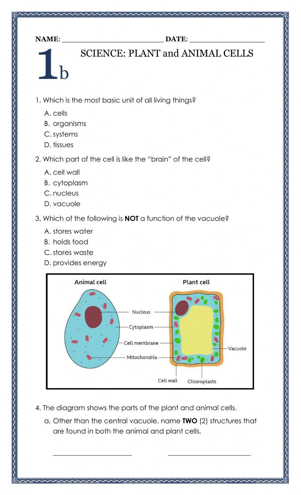 The Plant And Animal Cells Interactive Worksheet Live Worksheets 