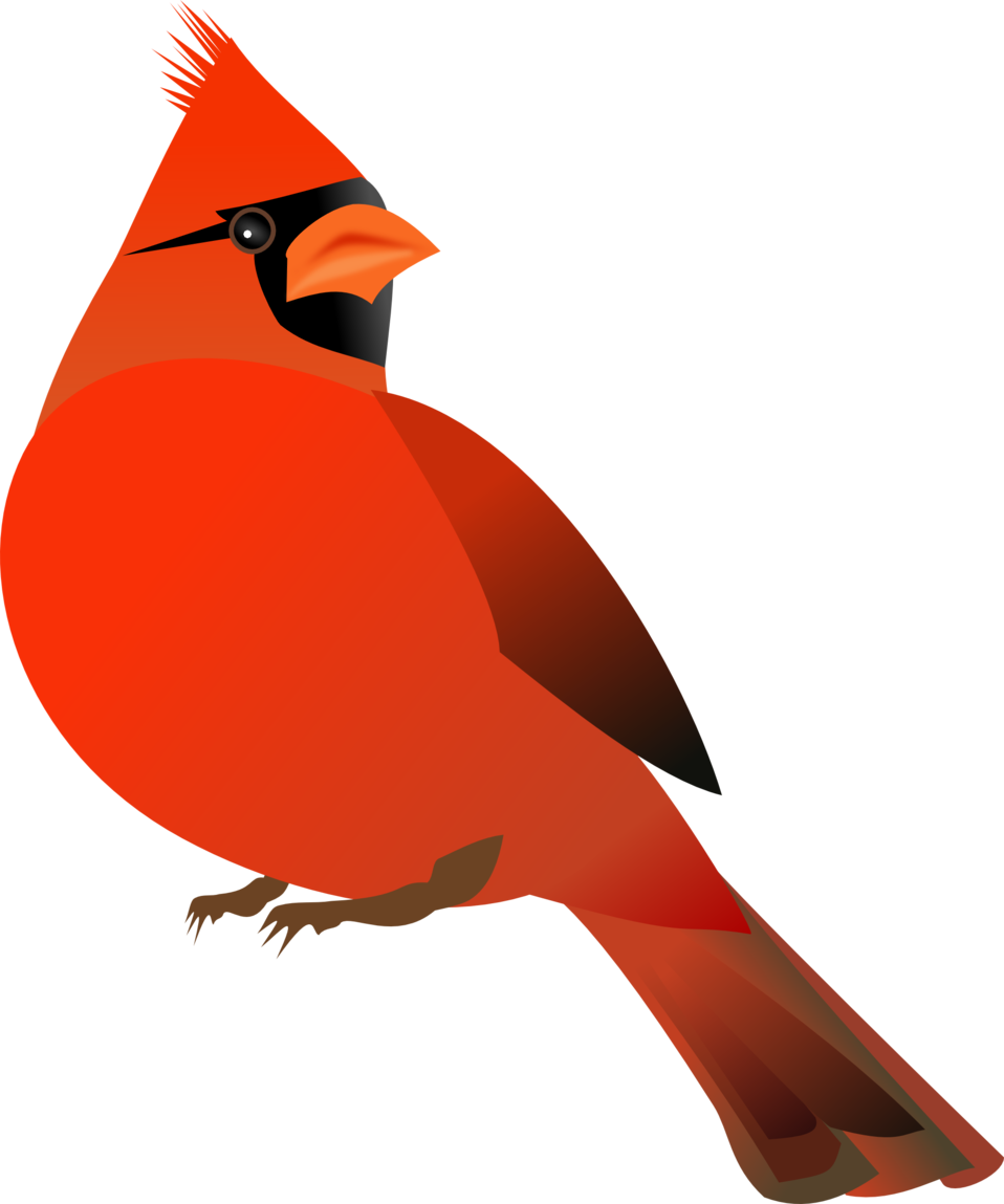 Top 102 Pictures Free Printable Pictures Of Cardinals Full HD 2k 4k