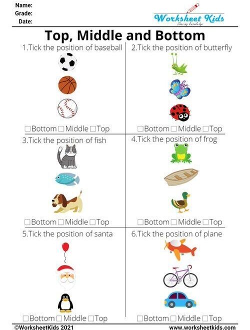 Top Middle And Bottom Position Worksheets Or Kids Preschool