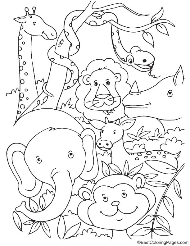 Tropical Rainforest Animals Coloring Page Download Free Tropical 