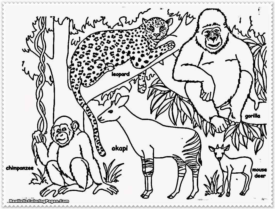 Printable Coloring Pictures Of Jungle Animals